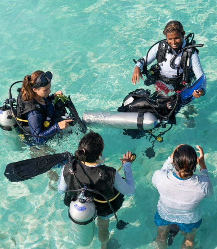 Scuba diving group in shallow water receiving instructions from a guide.