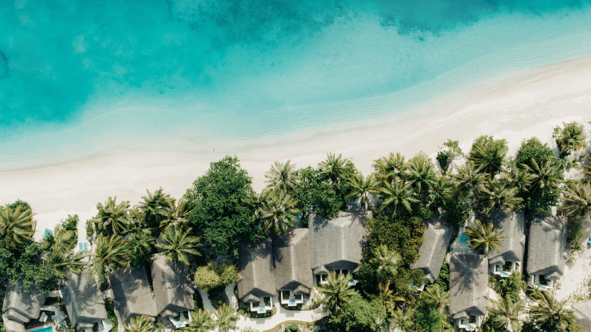 Aerial of the beach villas and white sandy beaches at Nova Maldives