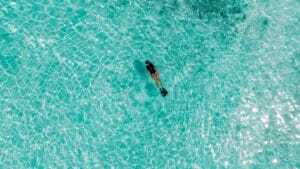 Aerial of a snorkeller in the water