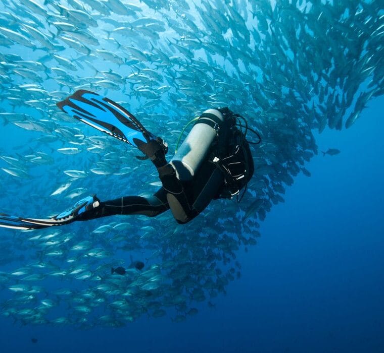Diver underwater